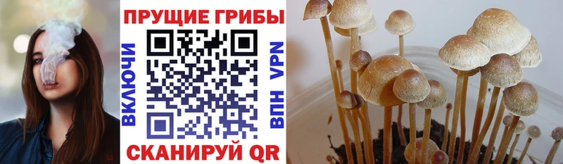 Псилоцибиновые грибы Magic Shrooms  Карталы 