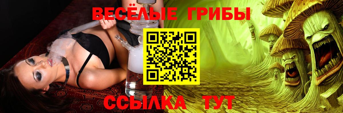 Карталы  Псилоцибиновые грибы MAGIC MUSHROOMS  Вход с VPN  Галлюциногенные грибы Cubensis 